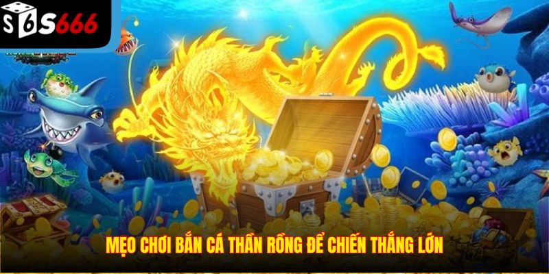 Mẹo chơi Bắn Cá Thần Rồng để chiến thắng lớn