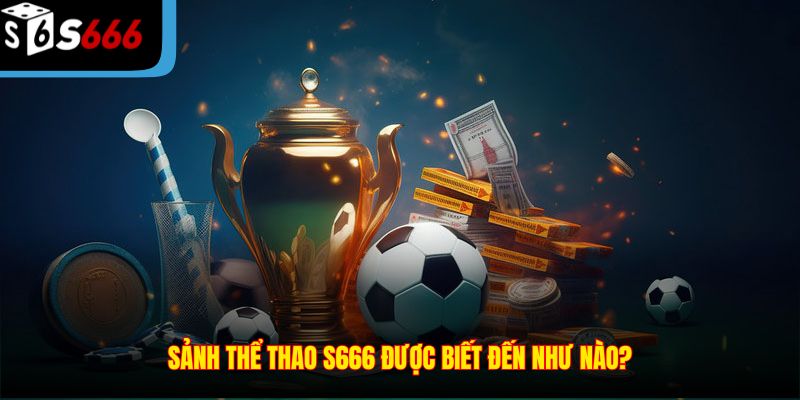 Sảnh thể thao S666 được biết đến như nào?